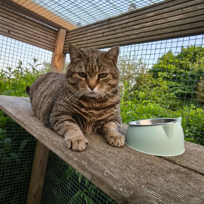photo-chat-xxx