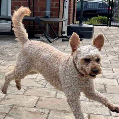 photo-chat-xxx
