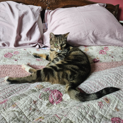 photo-chat-xxx