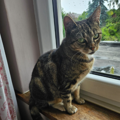 photo-chat-xxx