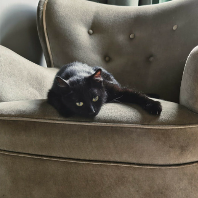 photo-chat-xxx