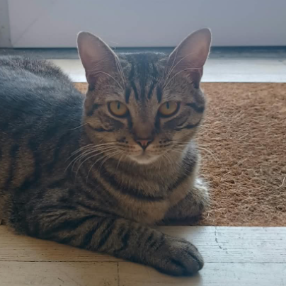 photo-chat-xxx