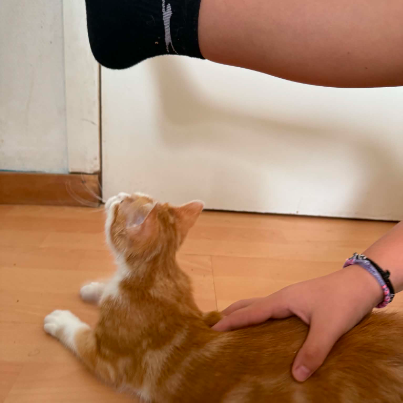 photo-chat-xxx