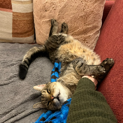 photo-chat-xxx